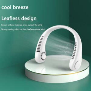 Portable Cooling Fan