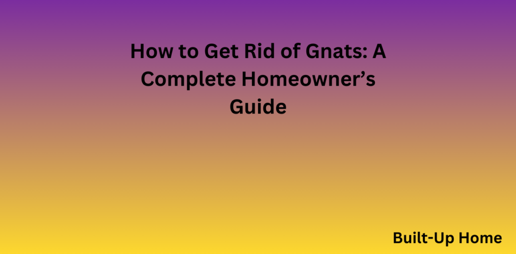 how to get rid of gnats